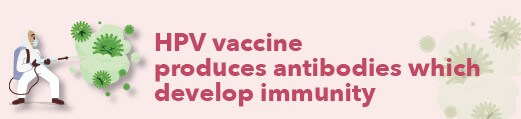 HPV vaccine produces antibodies which develop immunity