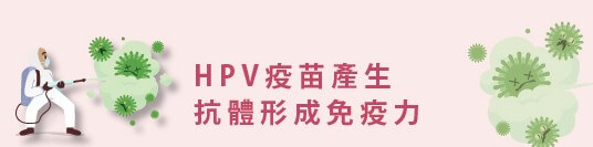 HPV疫苗產生抗體形成免疫力